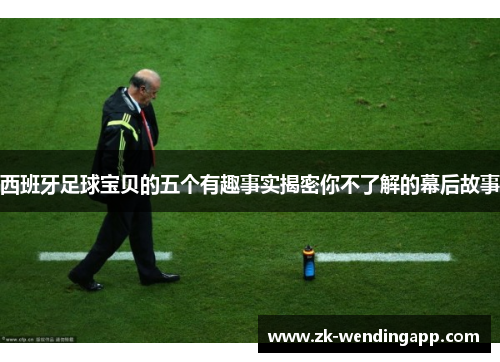 西班牙足球宝贝的五个有趣事实揭密你不了解的幕后故事