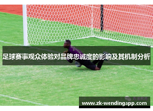 足球赛事观众体验对品牌忠诚度的影响及其机制分析