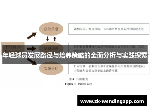 年轻球员发展路径与培养策略的全面分析与实践探索