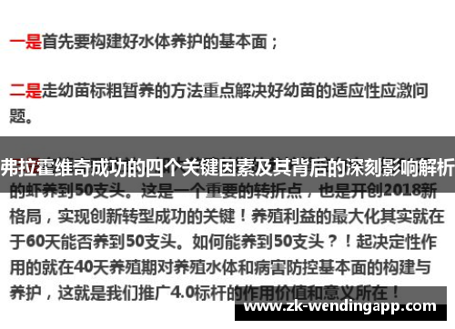 弗拉霍维奇成功的四个关键因素及其背后的深刻影响解析 弗拉霍维奇成功的四个关键因素及其背后的深刻影响解析